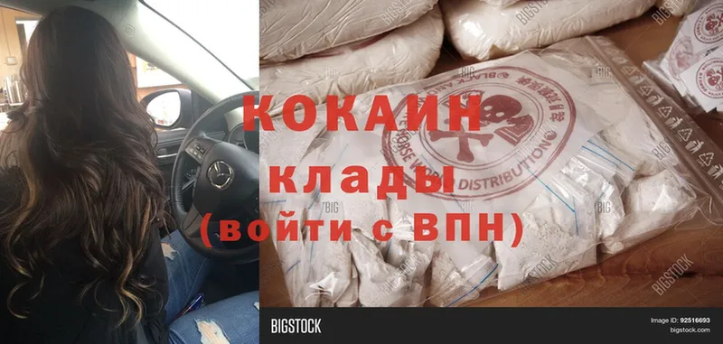 Кокаин Fish Scale  купить наркоту  hydra сайт  Рославль 